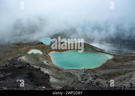 Wanderer erkunden die nebligen Smaragdseen am Tongariro Alpine Crossing in Neuseeland in der Abenddämmerung Stockfoto