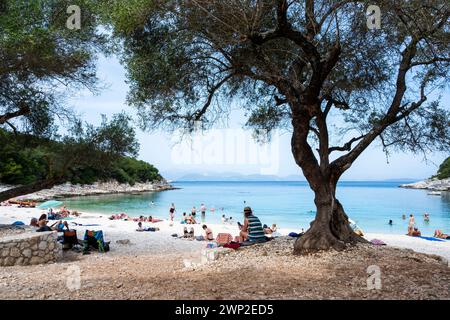 Sandstrand, blaues Meer mit Menschen, die schwimmen und entspannen. Emplisi Beach, nahe Fiskardo im Norden von Kefalonia, Griechenland. Stockfoto