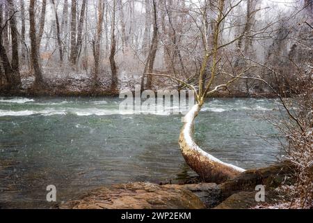 Blick auf die Winterlandschaft am Watauga River im Sycamore Shoals State Historic Park in Elizabethton, Tennessee, USA Stockfoto