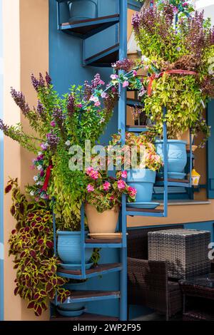 Bunte Pflanztöpfe und Blumen auf einer blauen Wendeltreppe. Fiskardo, Nord-Kefalonia, Griechenland. Stockfoto