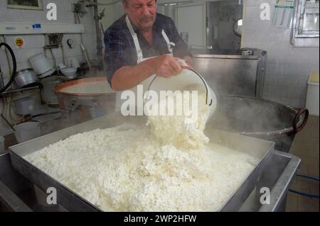 20. Dezember 2023 - Italien, Sassari, Sardinien, Gavino und Giuliano Pulinas Käsereien aus Osilo produzieren typisch sardischen Pecorino-Käse Stockfoto