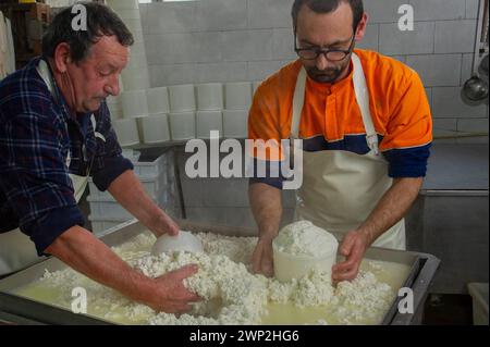 20. Dezember 2023 - Italien, Sassari, Sardinien, Gavino und Giuliano Pulinas Käsereien aus Osilo produzieren typisch sardischen Pecorino-Käse Stockfoto