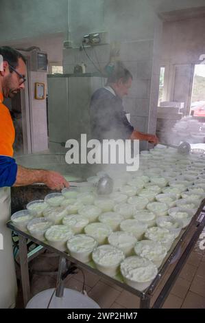 20. Dezember 2023 - Italien, Sassari, Sardinien, Gavino und Giuliano Pulinas Käsereien aus Osilo produzieren typisch sardischen Pecorino-Käse Stockfoto