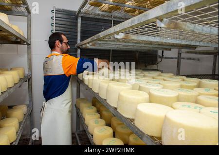 20. Dezember 2023 - Italien, Sassari, Sardinien, Gavino und Giuliano Pulinas Käsereien aus Osilo produzieren typisch sardischen Pecorino-Käse Stockfoto