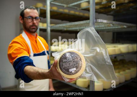 20. Dezember 2023 - Italien, Sassari, Sardinien, Gavino und Giuliano Pulinas Käsereien aus Osilo produzieren typisch sardischen Pecorino-Käse Stockfoto