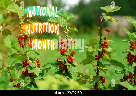 Farbenfroher Text, der den National Nutrition Month ankündigt, bietet einen wunderschönen Kontrast vor dem Hintergrund von grünem Laub und Reifen roten Beeren. Stockfoto