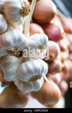 UK, London, Knoblauch und Zwiebeln im Borough Market, Southbank. Stockfoto