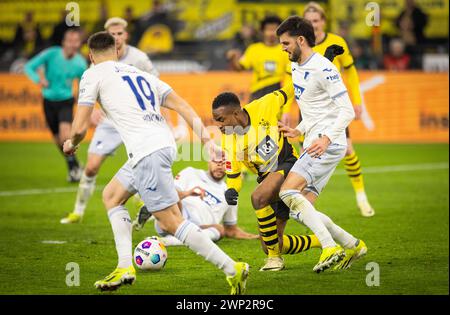 Dortmund Deutschland. Februar 2024. Youssoufa Moukoko (BVB) Florian Grillitsch (1899) Borussia Dortmund - TSG 1899 Hoffenheim 25.02.2024 Copyright (nu Stockfoto