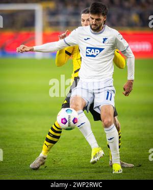 Dortmund Deutschland. Februar 2024. Florian Grillitsch (1899), Marcel Sabitzer (BVB) Borussia Dortmund - TSG 1899 Hoffenheim 25.02.2024 Copyright (nur Stockfoto