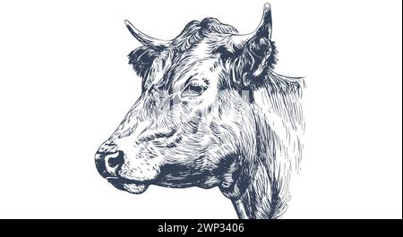 Kuh, Stier, Rindfleisch. Vintage-Retro-Druck, schwarz-weiße Kuh, Stier, Rindfleisch Sketch-Tinte Bleistiftzeichnung, Gravur Old School. Skizzieren Sie Bildmaterial Silhouette Kopf Kuh. Seitenansicht des Rinderbullen. Vektorabbildung Stock Vektor