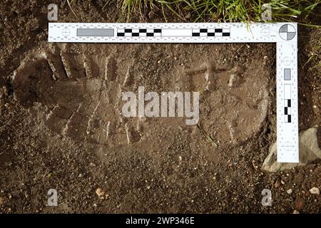 Tatortuntersuchung - Sammlung von Ultraschall-Beweismaterial Stockfoto