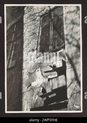 Nationalmuseum in Warschau, ul. Podwale 15. Fragment der Fassade mit Vogelvögeln; um 1930 (1920-00-00-1939-00-00); Stockfoto