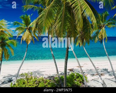 Tropisches Paradies Malediven tropischer Strand auf der Insel. Reiseurlaubskonzept. Stockfoto