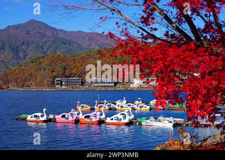 FUJIKAWAGUCHIKO, JAPAN – 20. November 2023 – Blick auf Schwanenboote auf dem Kawaguchi-See (Fujikawaguchiko) während der Herbstsaison der Momiji-Blätter. Stockfoto