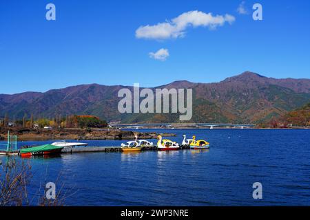 FUJIKAWAGUCHIKO, JAPAN – 20. November 2023 – Blick auf Schwanenboote auf dem Kawaguchi-See (Fujikawaguchiko) während der Herbstsaison der Momiji-Blätter. Stockfoto