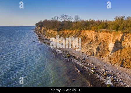 Blick aus der Vogelperspektive über Strand und Brodtener Ufer / Brodten Steilufer, Klippe in der Lübecker Bucht an der Ostsee bei Sonnenaufgang, Schleswig-Holstein, Deutschland Stockfoto