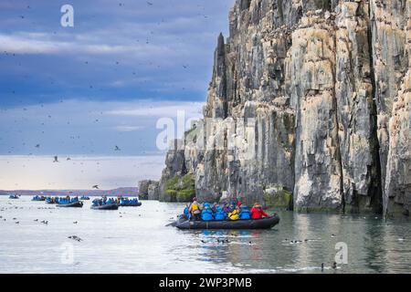 Öko-Touristen in Zodiac-Booten beobachten Dickschnabelmurren / Brünnich's Guillemots (Uria lomvia) in der Hinlopenstraße im Sommer, Svalbard / Spitzbergen Stockfoto