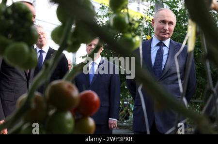 Solnechnodolsk, Russland. März 2024. Der russische Präsident Wladimir Putin, rechts, führt am 5. März 2024 in Solnetschnodolsk, Stavropol-Territorium, Russland durch die Gewächshäuser Solnechni dar für den Tomatenanbau. Quelle: Mikhail Metzel/Kreml Pool/Alamy Live News Stockfoto