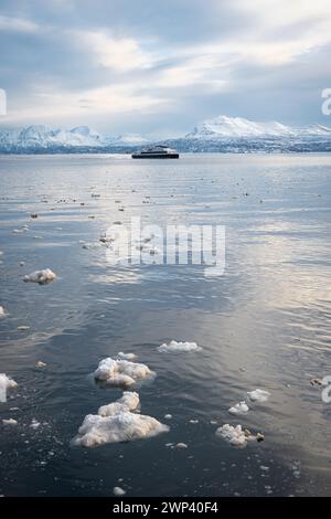 Entferntes Schiff in einem norwegischen Fjord bei Harstad, Norwegen Stockfoto