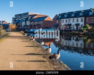 Moderne Häuser und Wohnungen in Droylsden Marina, am Ashton Canal, Droylsden, Tameside, Manchester, England, UK. Stockfoto