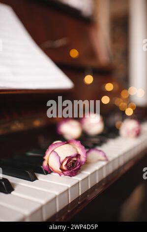 Trockene Rosenblüten auf Klaviertasten über leuchtenden Lichtern aus nächster Nähe. Stockfoto