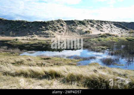 The Devil's Hole, eine große Dünenlandschaft im Ravenmeols Sandhills Local Nature Reserve, Formby, Sefton Coast, Großbritannien Stockfoto