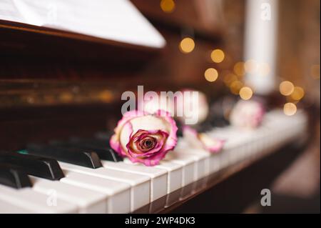 Trockene Rosenblüten auf Klaviertasten über leuchtenden Lichtern aus nächster Nähe. Stockfoto