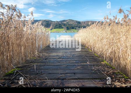 Steg oder Dock am Irrsee, einem See im Salzkammergut, Österreich nahe der Stadt Zell am Moos. Er wird von der Zeller Ache in Richtung Mondsee entwässert. Stockfoto