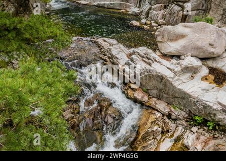 Ein kleiner Wasserfall stürzt über zerklüftete Felsen inmitten von Kiefern in Südkorea Stockfoto