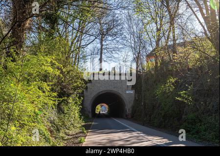 Frühlingstunnelblick auf eine von Bäumen gesäumte Straße, Radweg, Nordbahntrasse, Barmen, Wuppertal, Bergisches Land, Nordrhein-Westfalen Stockfoto