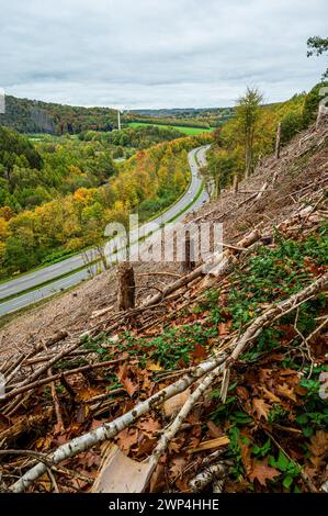 Blick auf eine gewundene Straße durch eine herbstliche Waldlandschaft mit gehäuften Bäumen, Bergisches Land, Nordrhein-Westfalen Stockfoto