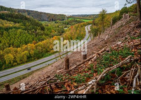 Herbstlandschaft mit abgeholztem Gebiet an einer gewundenen Straße, Bergisches Land, Nordrhein-Westfalen Stockfoto