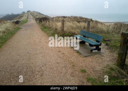 Eine leere Bank auf einem Weg mit Blick auf die Dünen unter bewölktem Himmel Stockfoto