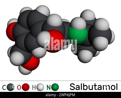 Salbutamol, Albuterolmolekül. Es handelt sich um einen kurzwirksamen Agonisten, der zur Behandlung von Asthma und COPD eingesetzt wird. Molekulares Modell. 3D-Rendering. Abbildung Stockfoto