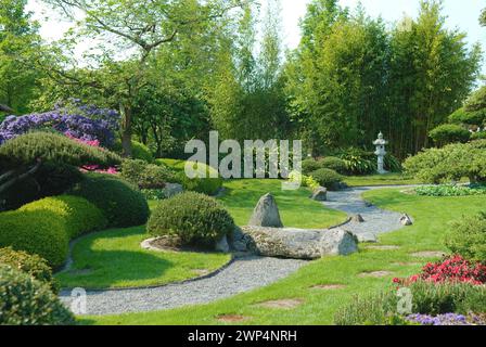 Japanischer Garten, Krummholzkiefer (Pinus mugo var. Pumilio), Buchsbaum (Buxus sempervirens 'Suffruticosa'), Bambus (Phyllostachys), Park der Gaerten, Bad Stockfoto