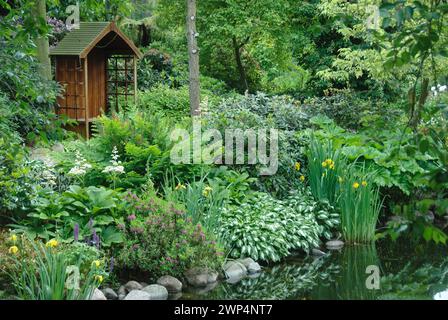 Teichrand, Schaublatt (Rodgersia pinnata), schmalblättrige Lorbeerrose (Kalmia angustifolia 'Rubra'), königlicher Farn (Osmunda regalis), Christiansberg Stockfoto