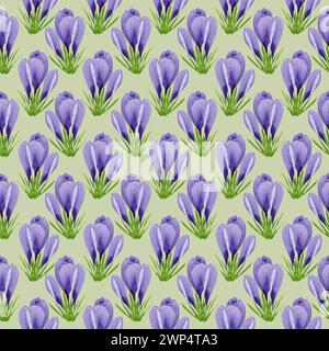 Aquarell Frühlingscrocuses nahtloses Muster, Frühlingsblume Digitalpapier auf grünem Hintergrund. Handgemalte Blumenabbildung. Für Textildesign Stockfoto