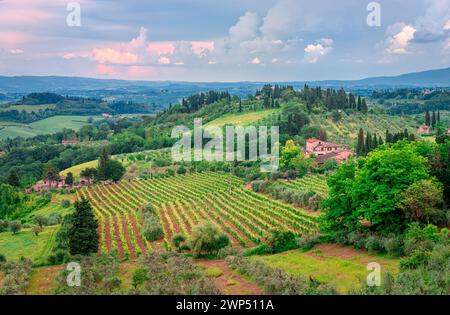 Malerische Landschaft mit Weinbergen in der Toskana, Italien. Foto in der Nähe von San Gimignano. Stockfoto
