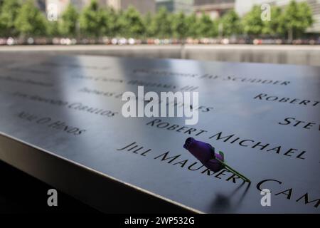 Eine einzelne violette Rose auf einer schwarzen Granitplatte, in die Namen von 9/11 Opfern eingraviert sind. Stockfoto