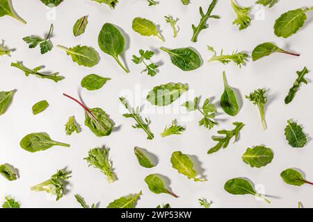 Verschiedene Grüns isoliert auf weißem, pflanzlichem Futter, grüne Blätter Hintergrund Stockfoto
