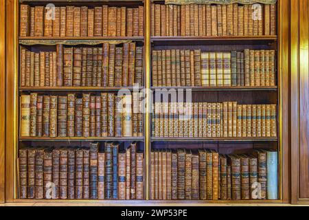 Harewood, Leeds, West Yorkshire, England, Vereinigtes Königreich. Mai 2022. Bücher in der Bibliothek von Harewood House, einem Schatz aus dem 18. Jahrhundert Stockfoto