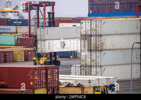 Containerterminal im Seehafen Bremerhaven, Eurogate Container Terminal mit fast 50 Containerbrücken, Kränen, auf einer Länge von über 4 KM an der Wesermündung, Portalhubwagen bringen die Container von und zu den Containerschiffen, bzw. Lager sie zwischen, Bremerhaven, Bremen, Deutschland Containerterminal Bremerhaven *** Containerterminal im Seehafen Bremerhaven, Eurogate Containerterminal mit fast 50 Containerbrücken, Kränen, auf einer Länge von über 4 KM an der Wesermündung, Streddle Carrier bringen die Container zu und von den Containerschiffen oder lagern sie zwischen, br Stockfoto