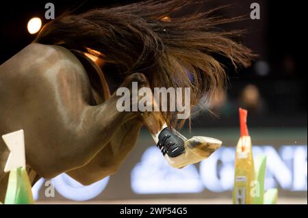 Bordeaux, Frankreich - 2. Februar 2024. Bilder aus Jumping International Bordeaux. Mette Holm/ATLAS MEDIA KANADA. Stockfoto