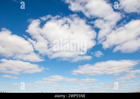 Flauschige Cumulus-Wolken an einem schönen Sommertag Stockfoto