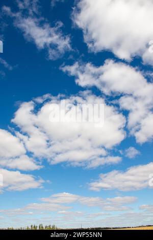 Flauschige Cumulus-Wolken an einem schönen Sommertag Stockfoto