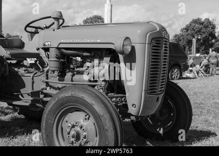 Drayton.Somerset.United Kingdom.19. August 2023.Ein restaurierter Massey Ferguson 35 wird auf einer Yesterdays-Landwirtschaftsveranstaltung gezeigt Stockfoto