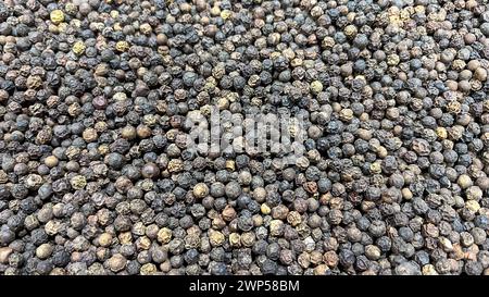 Ganze schwarze Pfefferkörner auf einem Gewürzbasar auf der Straße os Assuan Egypt Stockfoto