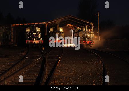 Von links nach rechts sind: 1420, 1450 und 6412 im Schuppen bei Buckfastleigh. Stockfoto