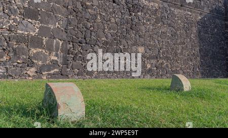 Historische, strukturierte Wand, üppiges Gras. Stockfoto