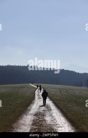 Eine Gruppe von Menschen geht einen Weg in einem Wald entlang. Der Weg ist schmal und von Bäumen umgeben. Der Himmel ist klar und die Sonne scheint Stockfoto